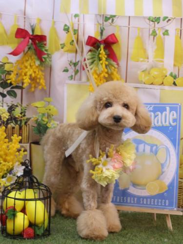 20240410むつくん